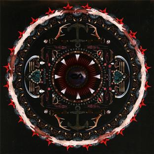 Amaryllis - Front Cover