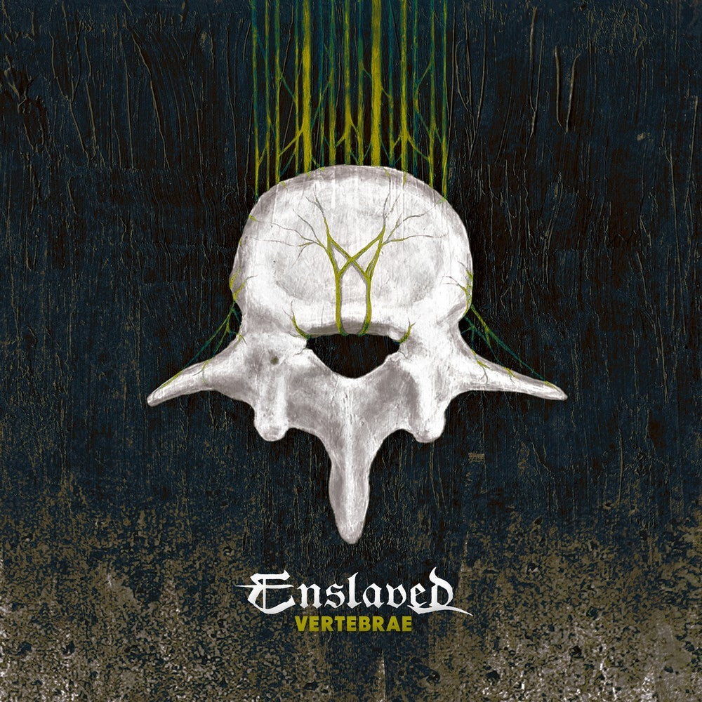 Vertebrae - Front Cover