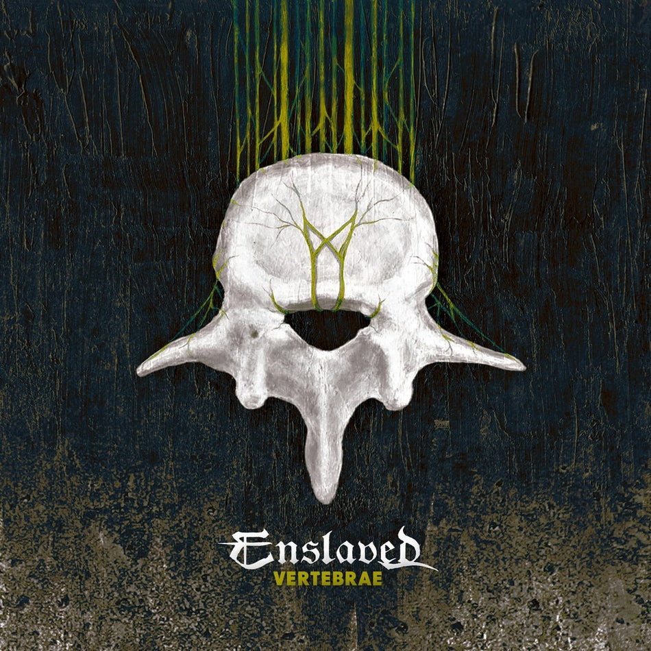 Vertebrae - Front Cover