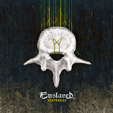 Vertebrae - Front Cover