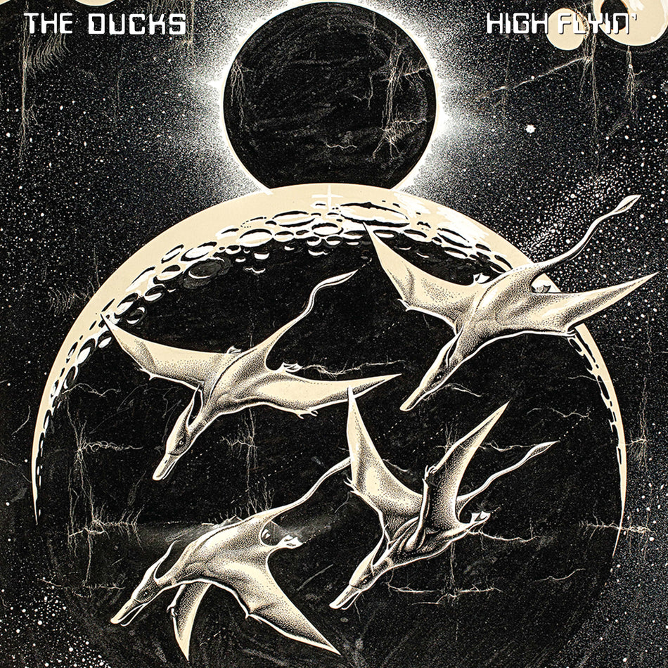 HIGH FLYIN' - Back Cover