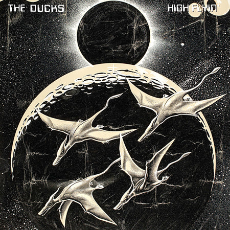 HIGH FLYIN' - Back Cover