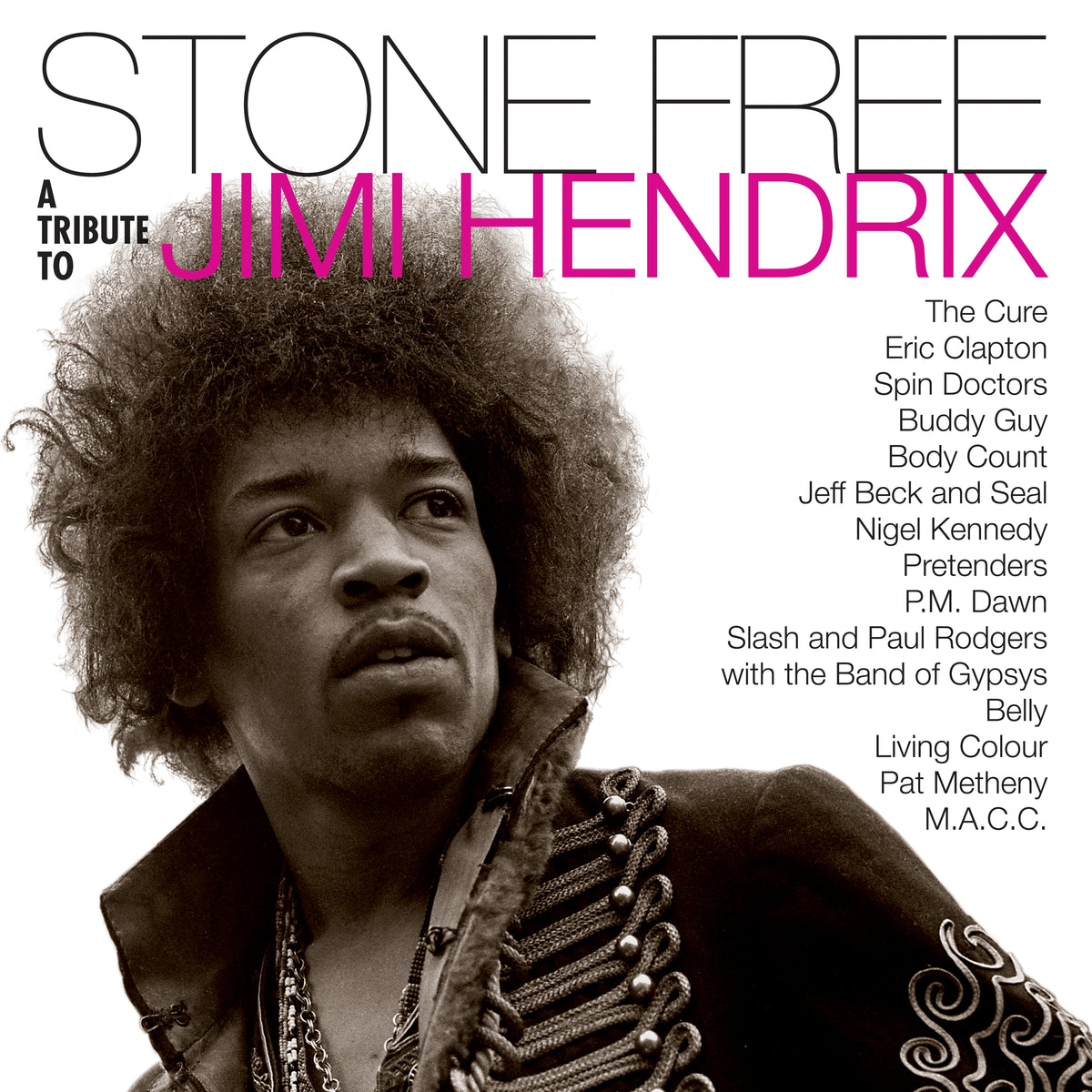 STONE FREE : JIMI HENDRIX TRIBUTE - Front Cover