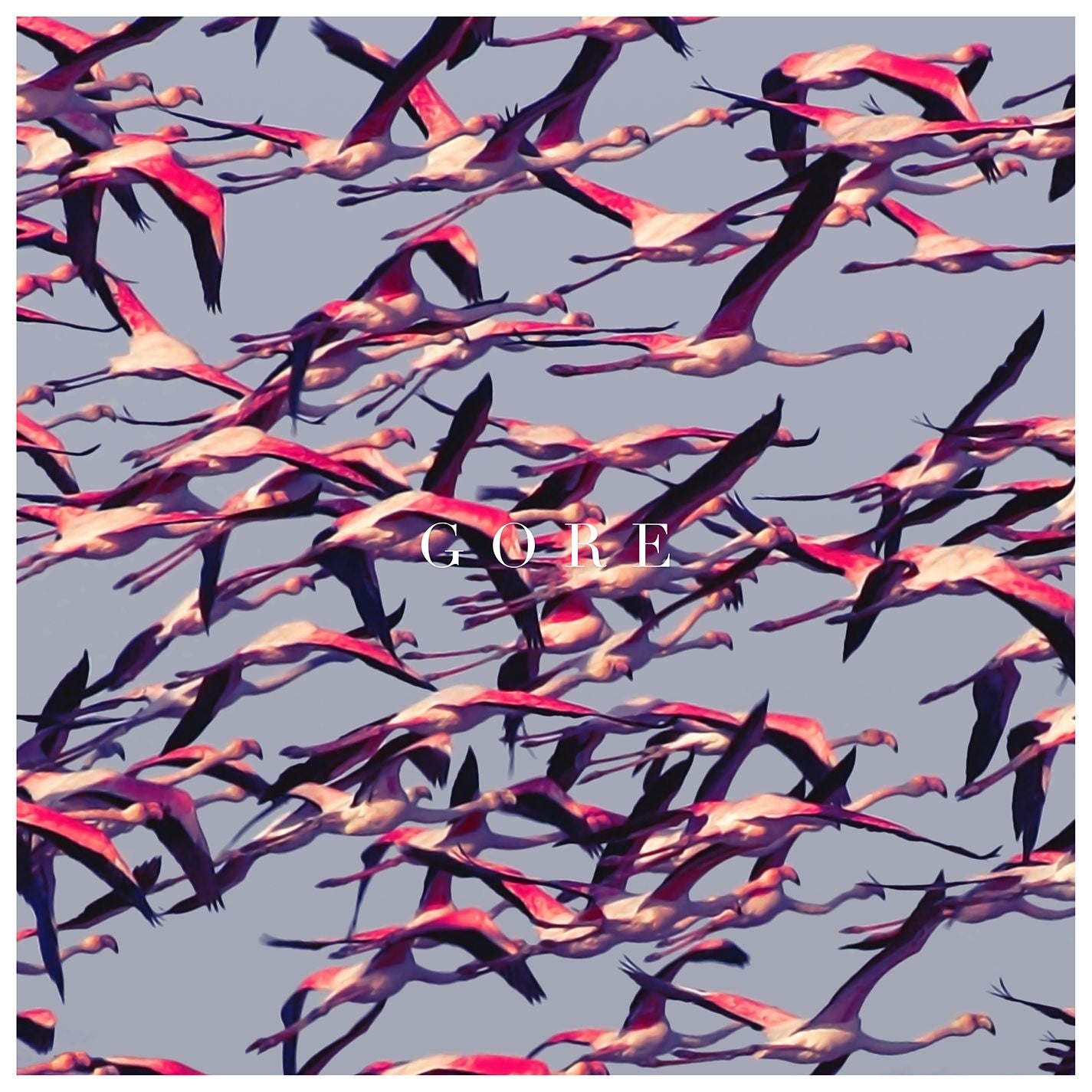 GORE - Front Cover