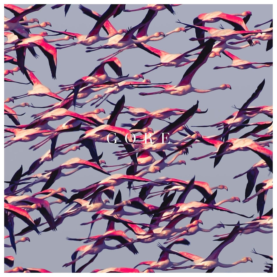 GORE - Front Cover