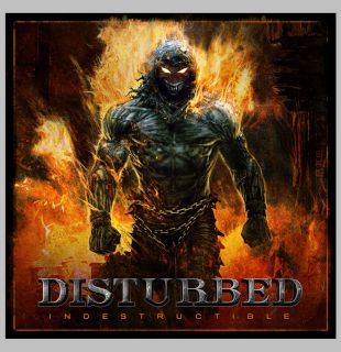 INDESTRUCTIBLE - Front Cover