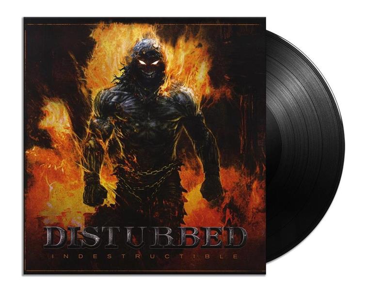 INDESTRUCTIBLE - Front Cover