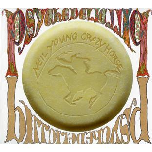 Psychedelic pill - Front Cover