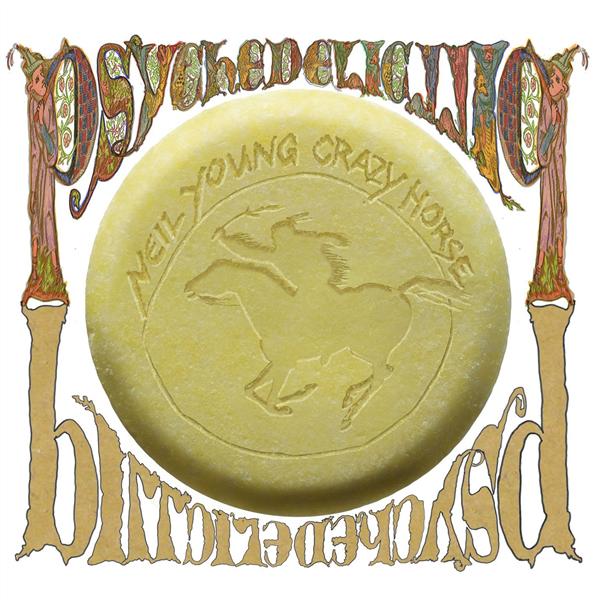 Psychedelic pill - Front Cover