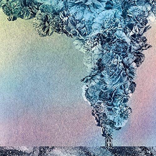 Carnation - Front Cover