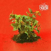 New Misery - Front Cover