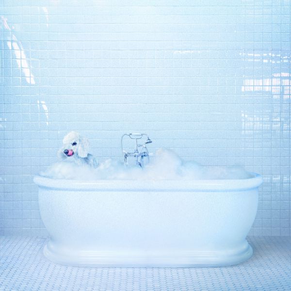 Vessel - Front Cover