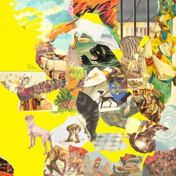 The Big Exercise - Front Cover