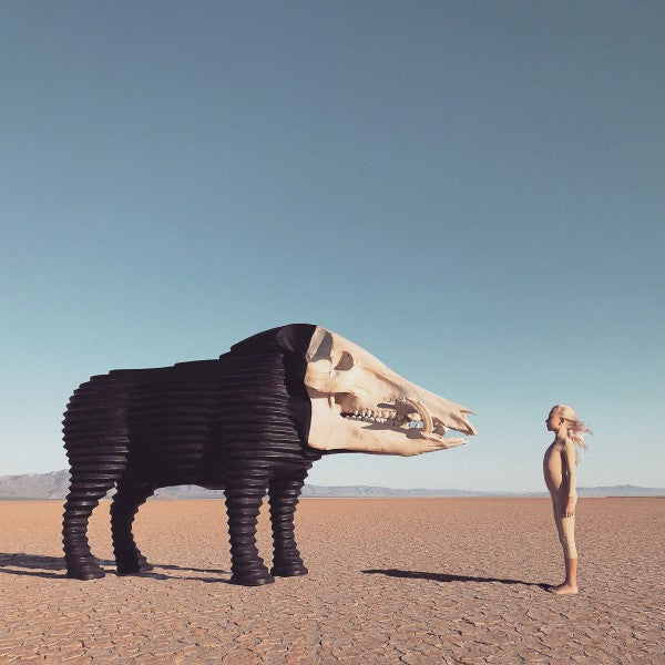 Dream Hunting In The Valley Of The In-Between - Front Cover