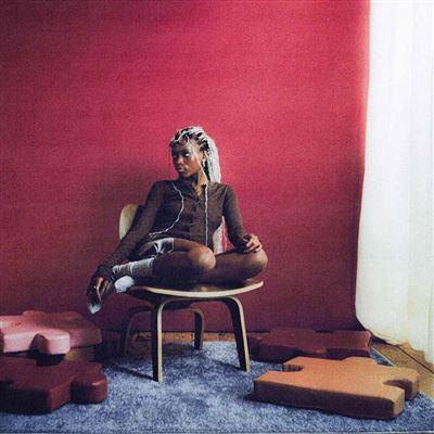 Describe - Vinyle Rose - Front Cover