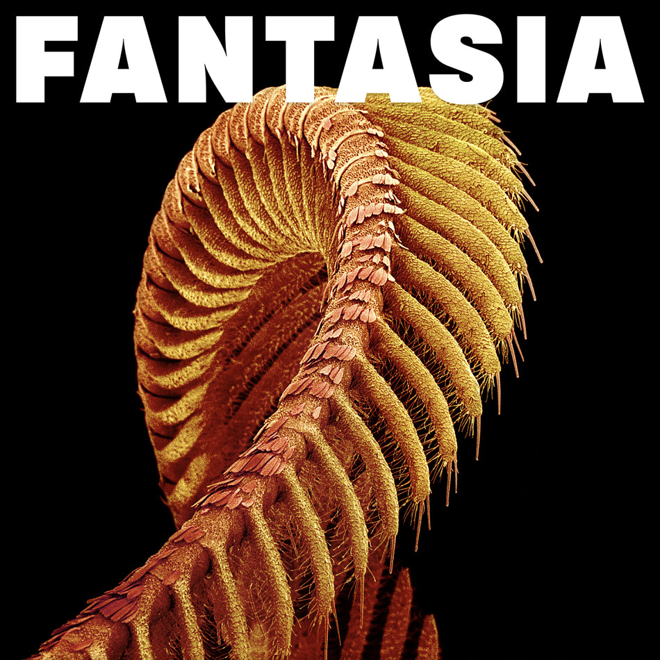 Fantasia - Vinyle Bleu Paillettes - Front Cover