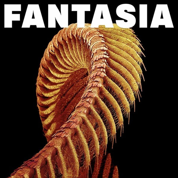 Fantasia - Front Cover