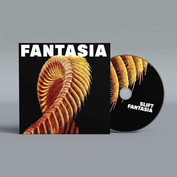 Fantasia - Front Cover
