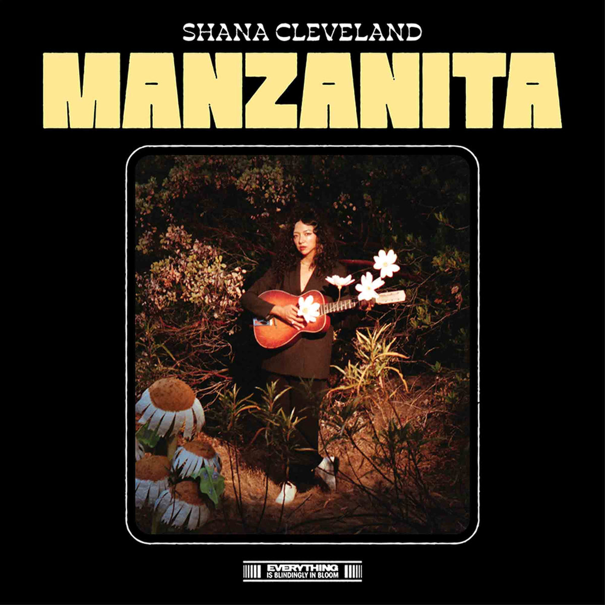 Manzanita - Front Cover