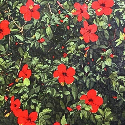 Denatured - Front Cover