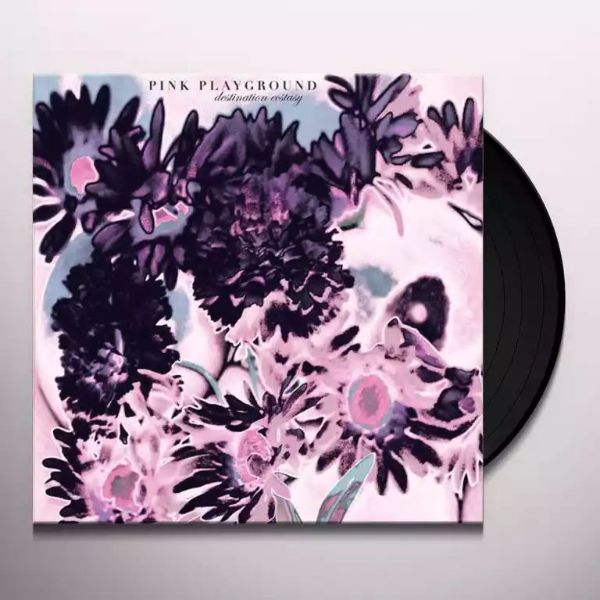 Destination Ecstacy - Front Cover