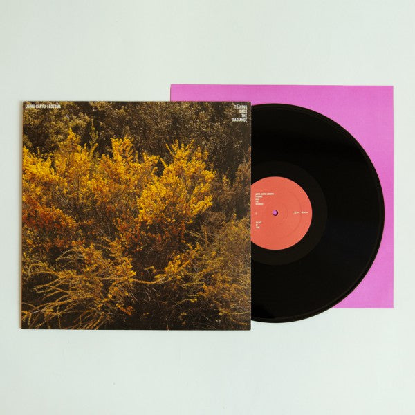 Tracing Back The Radiance - Front Cover