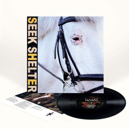 Seek Shelter - Front Cover