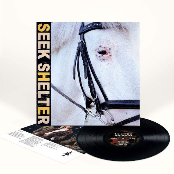 Seek Shelter - Front Cover