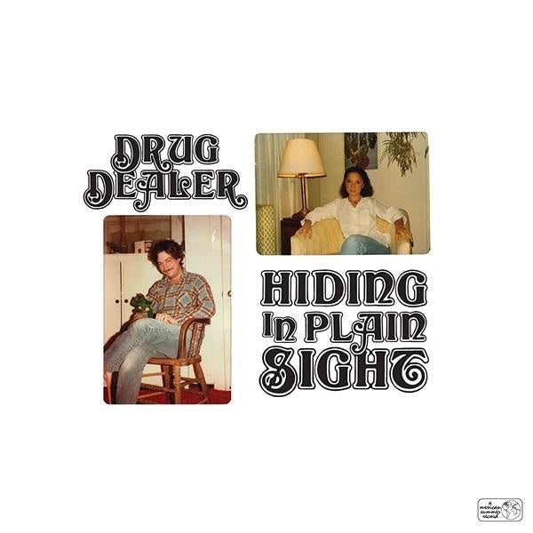 Hiding In Plain Sight - Front Cover