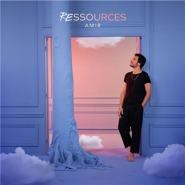 Ressources (version longue) - Front Cover
