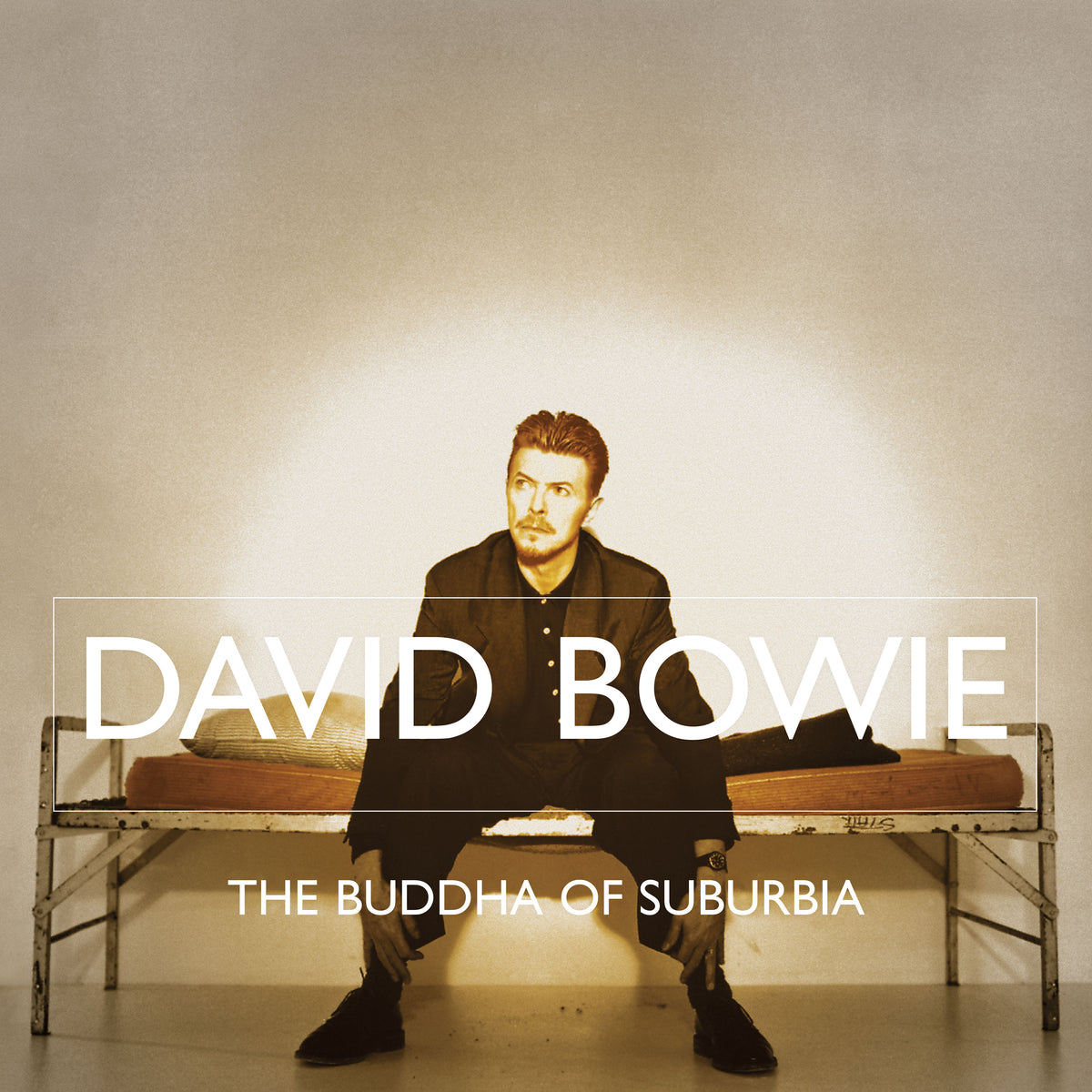 BUDDHA OF SUBURBIA - Front Cover