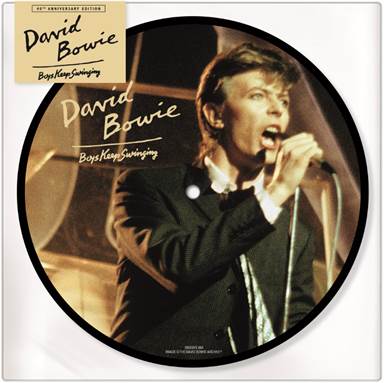 BOYS KEEP SWINGING /40th Anniversary-Picture Disc - Front Cover