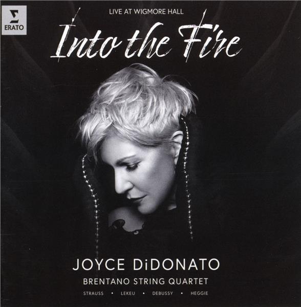 Into the fire - Front Cover