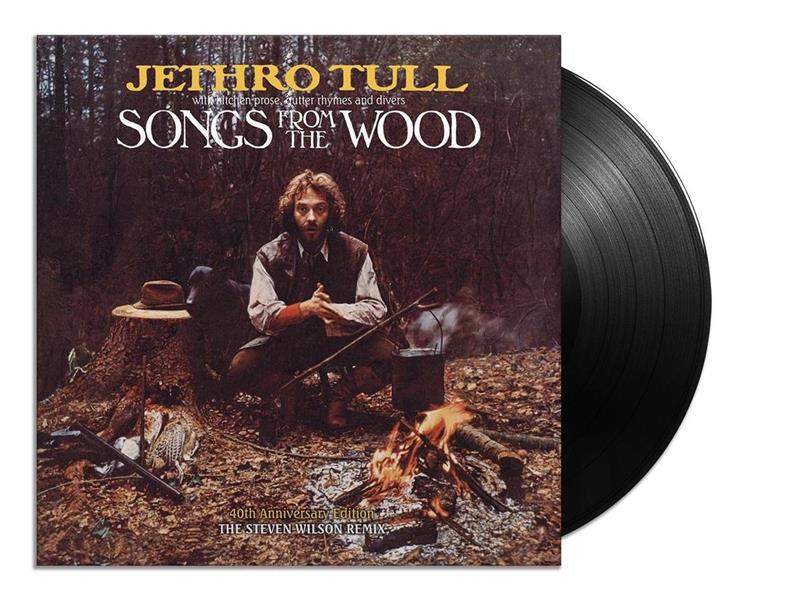 SONGS FROM THE WOOD - STEVEN WILSON REMIX - Front Cover