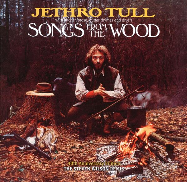Songs from the wood - remix - Front Cover