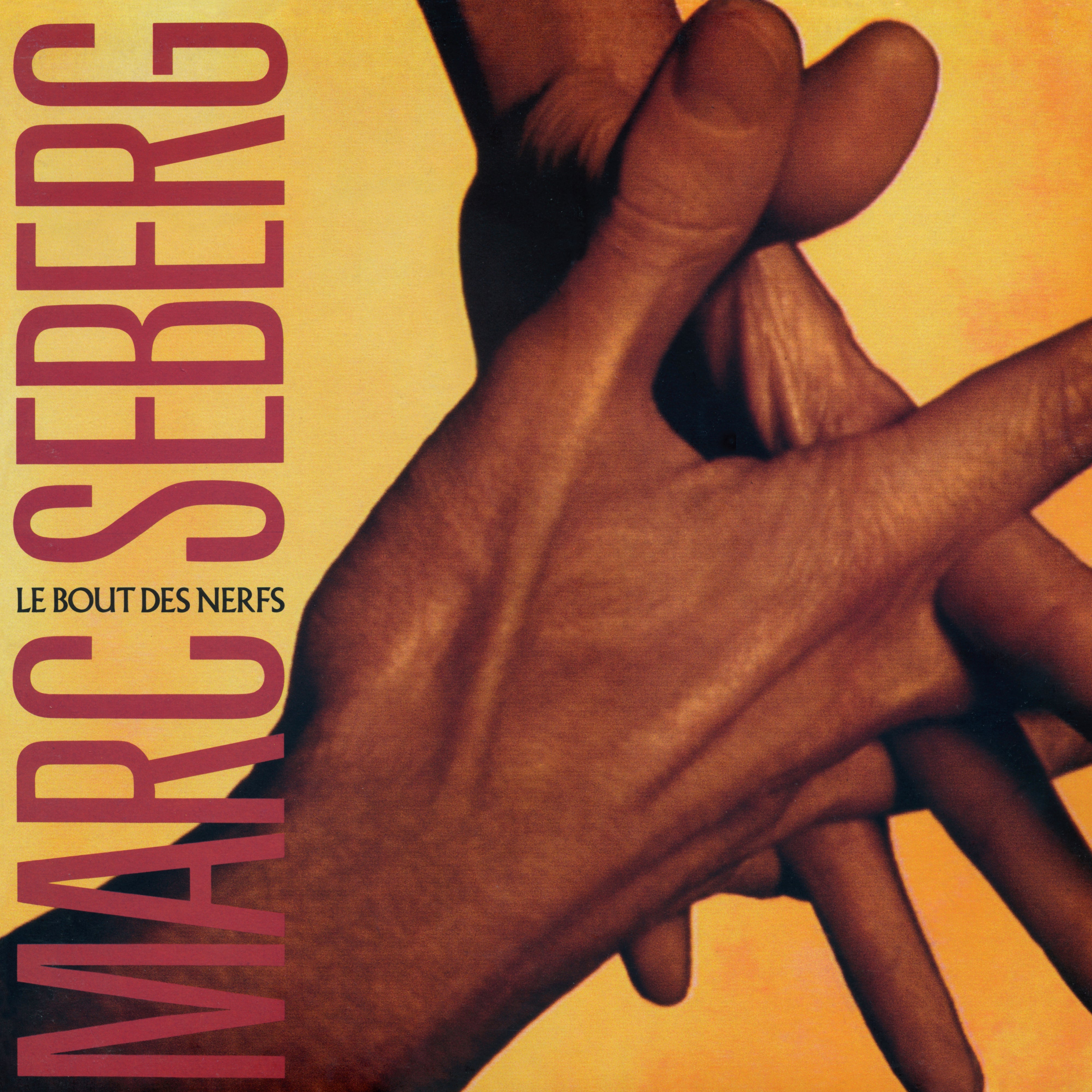 LE BOUT DES NERFS/1LP - Front Cover