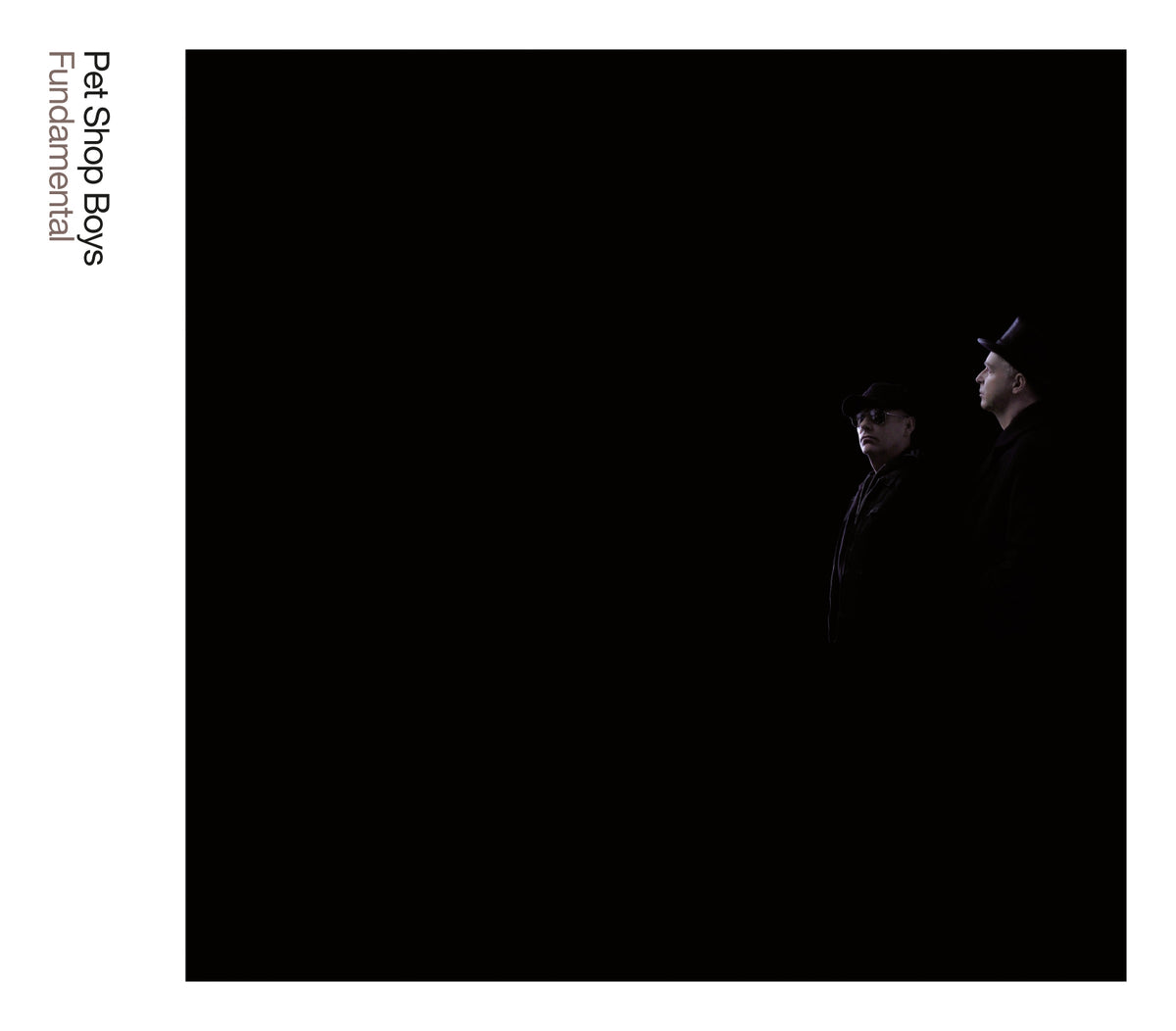 FUNDAMENTAL / VINYL - Front Cover