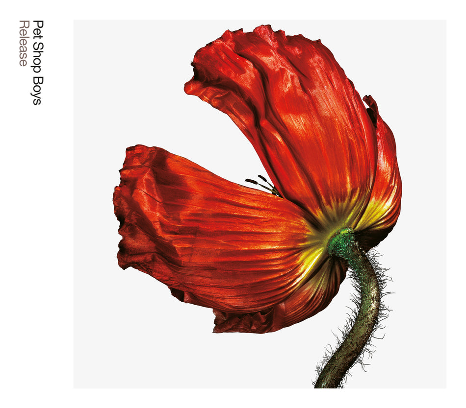 RELEASE / VINYL - Front Cover
