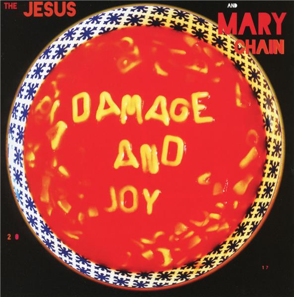 Damage and joy - Front Cover