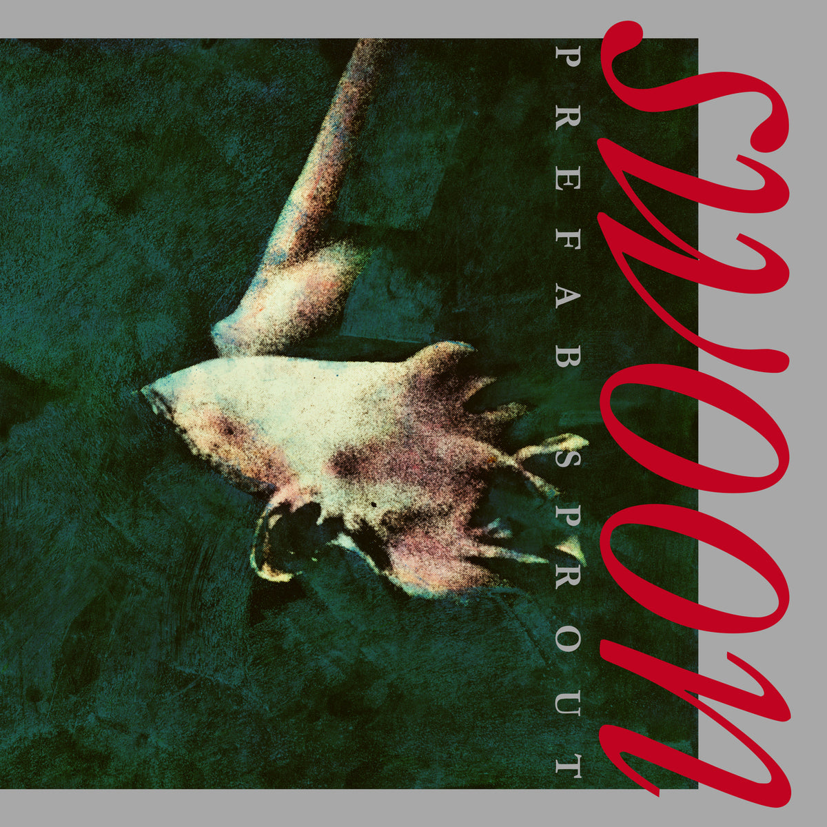 Swoon - Front Cover