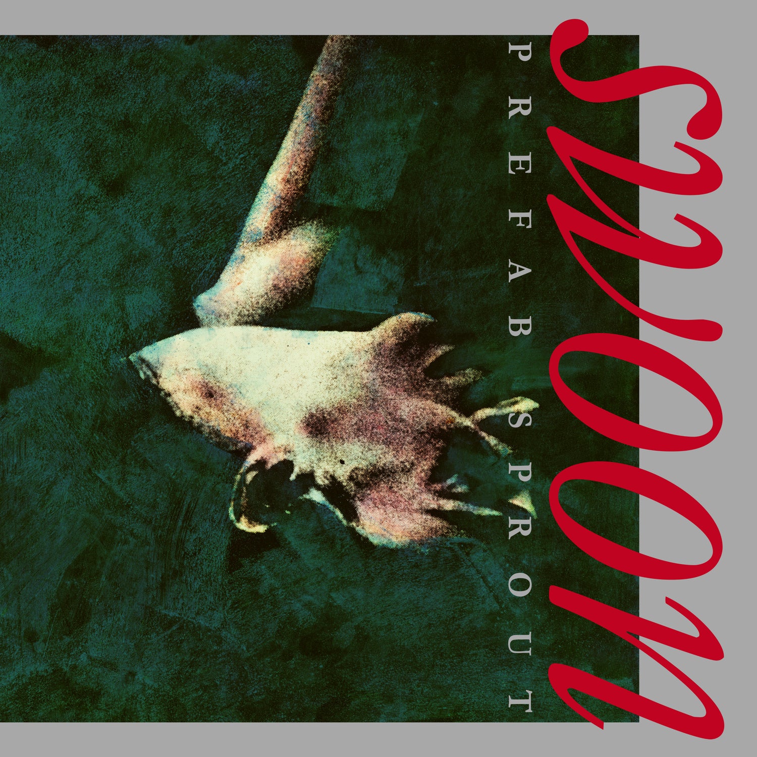Swoon - Front Cover