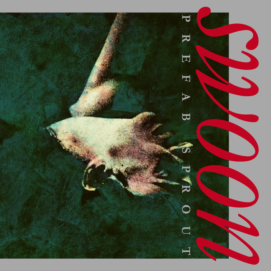 Swoon - Front Cover
