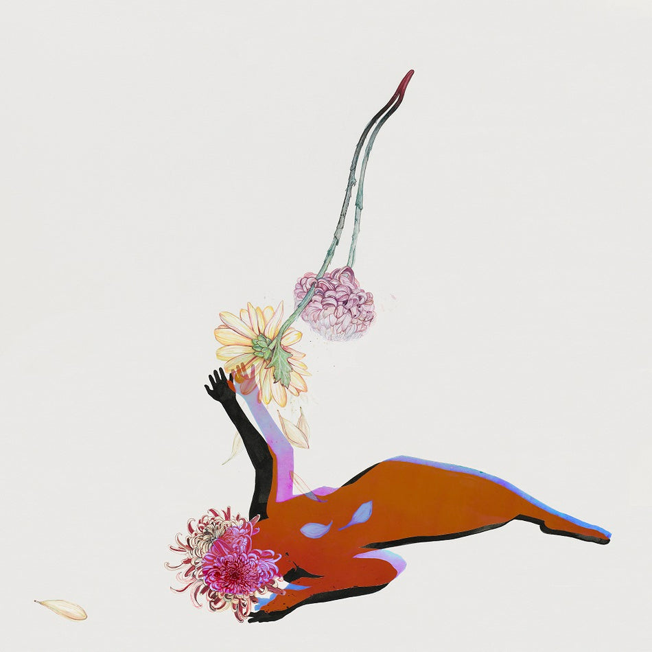 THE FAR FIELD - Front Cover