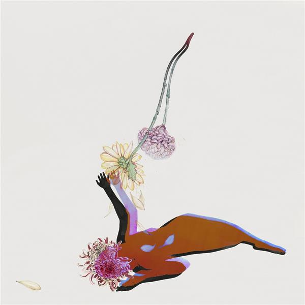 THE FAR FIELD - Front Cover