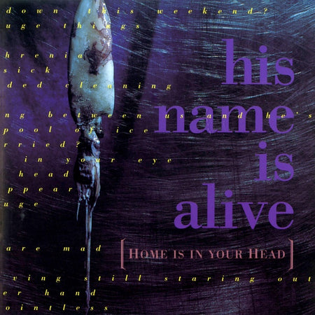 Home Is In Your Head - Front Cover