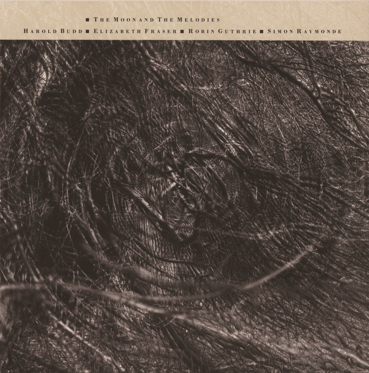 THE MOON & THE MELODIES - Front Cover