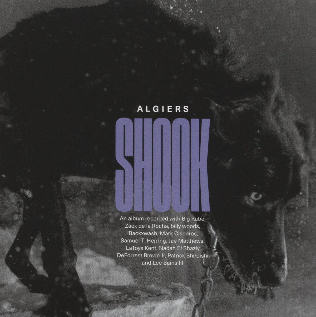 SHOOK - Front Cover