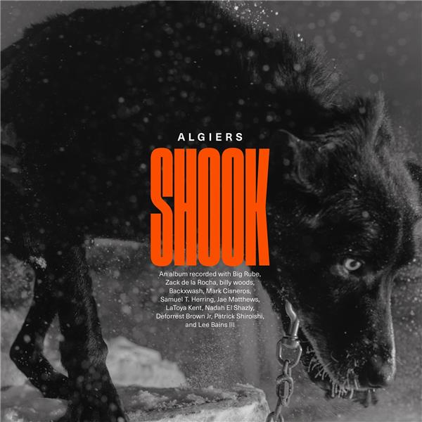 SHOOK - Front Cover