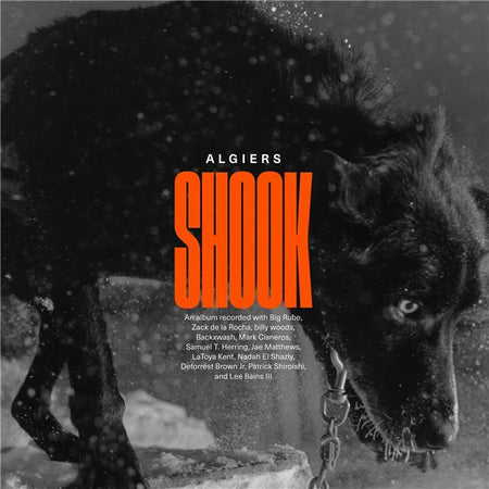 SHOOK - Front Cover