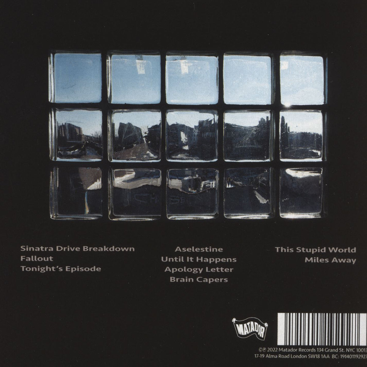 THIS STUPID WORLD - Back Cover